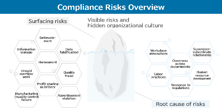 Compliance Risks Overview