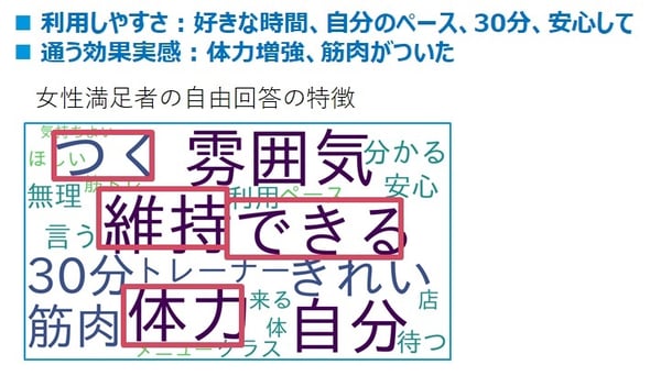 31「女性満足者」の満足評価内容は-1